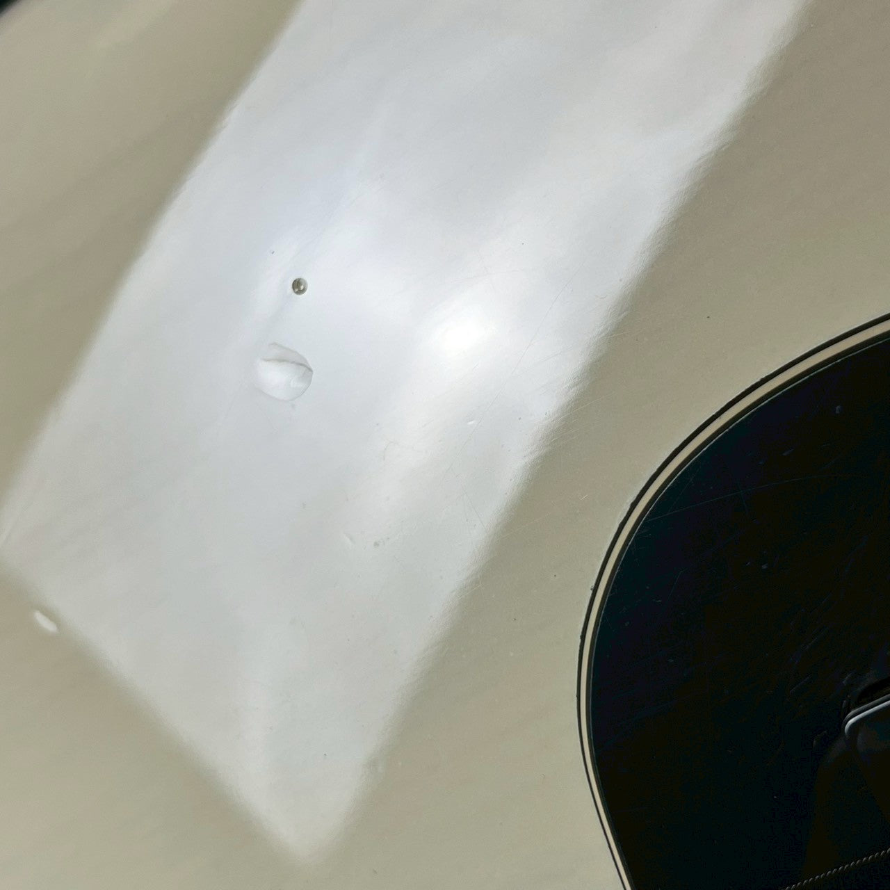 Bacchus Global Series Jazz Bass 5 String