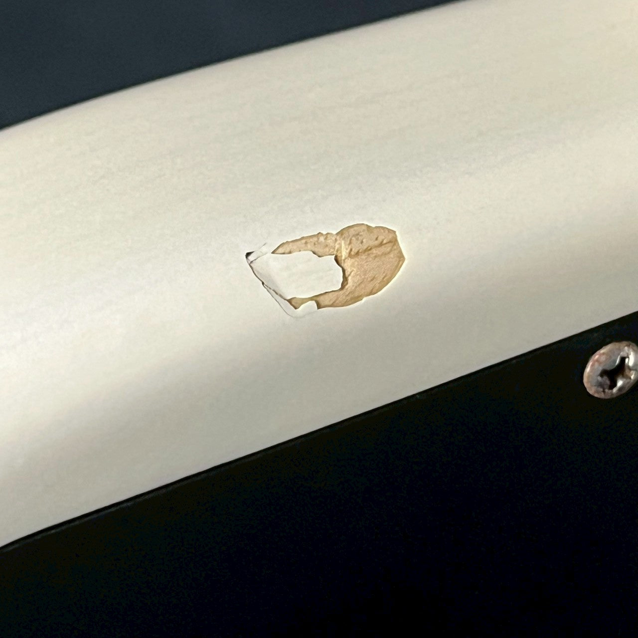 Bacchus Global Series Jazz Bass 5 String