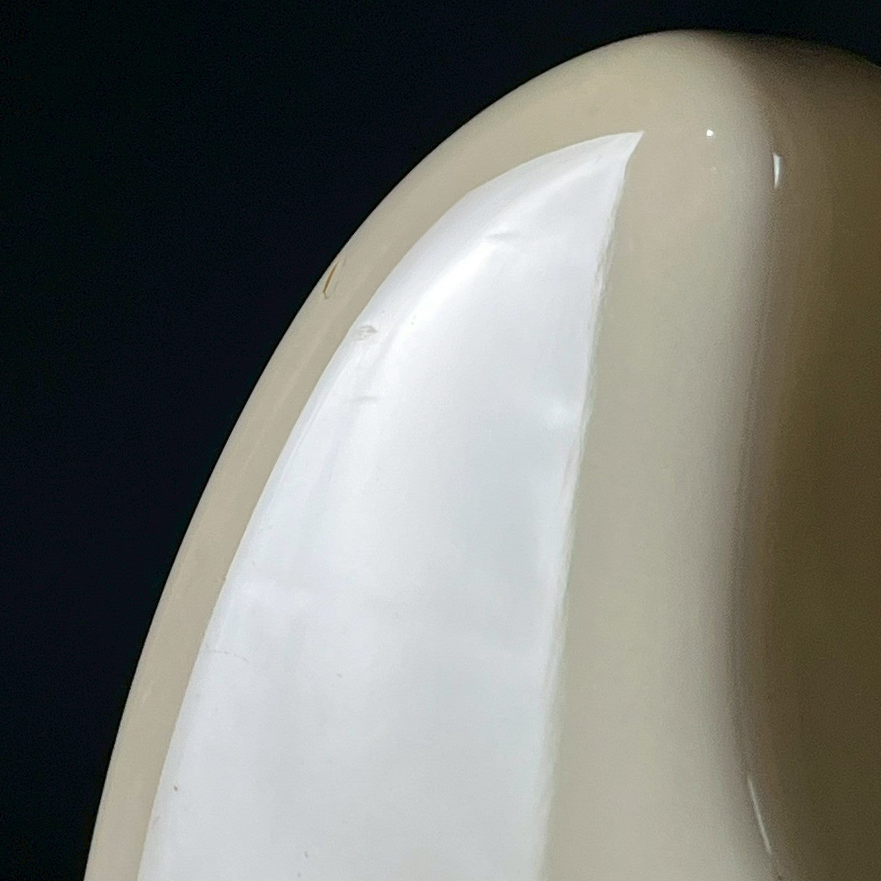 Bacchus Global Series Jazz Bass 5 String