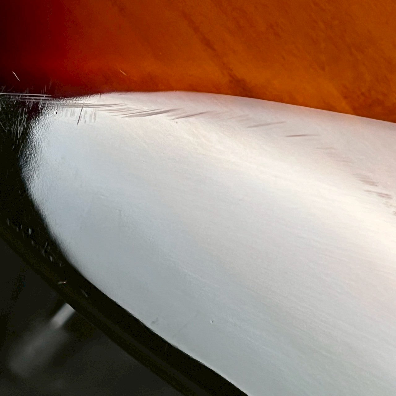 Squier Vintage Modified 70s Stratocaster Mod