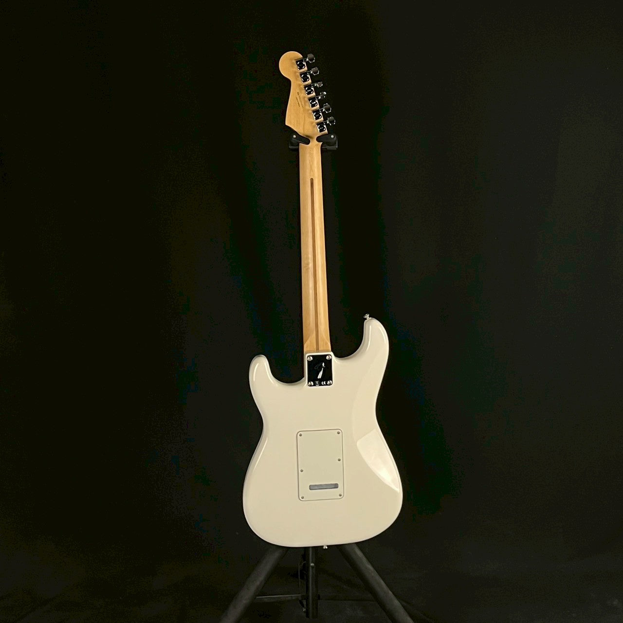 Fender Player Stratocaster PWT MN 2019