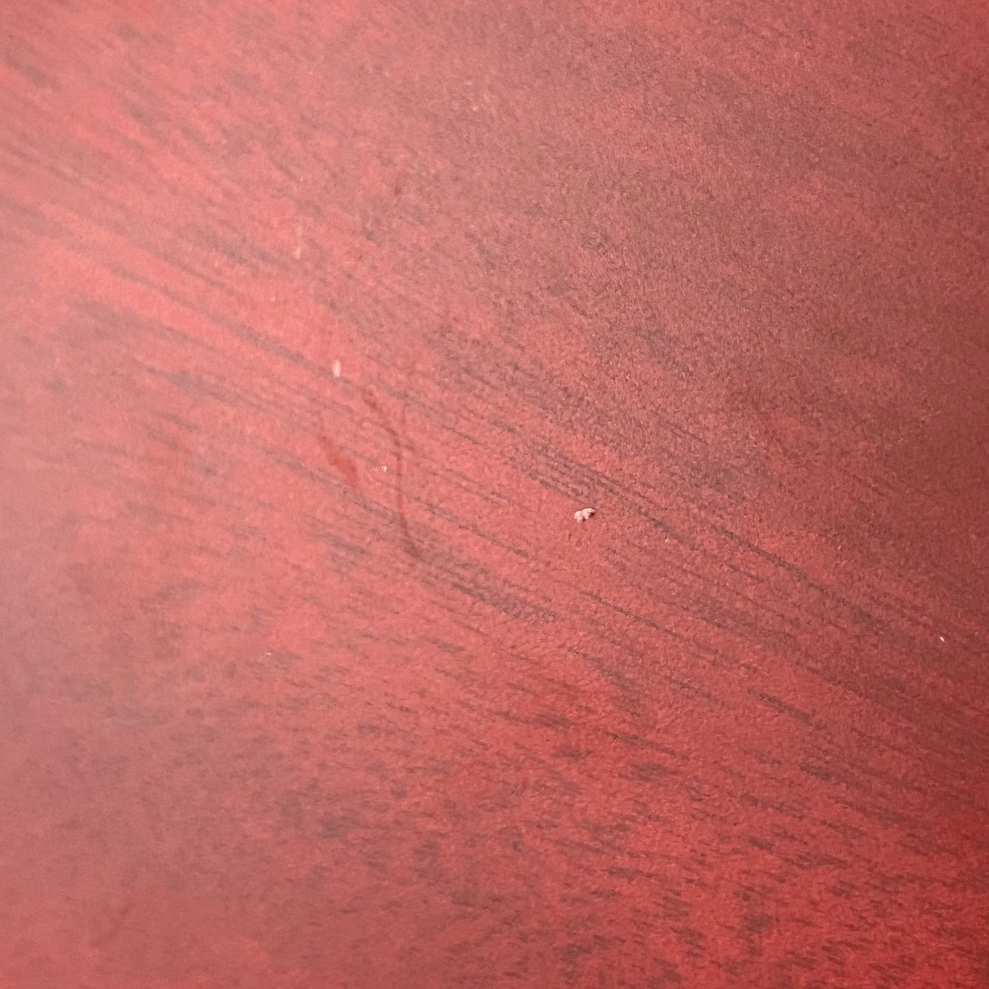 Epiphone Les Paul Special 2013