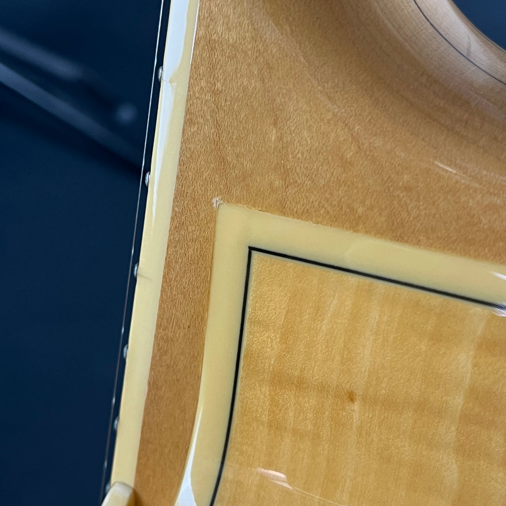 Ibanez AF105-NT