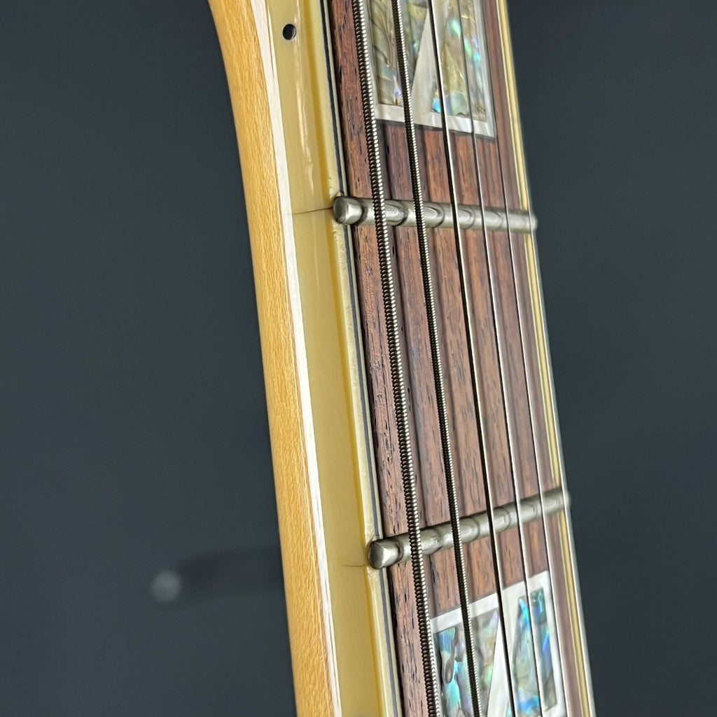 Ibanez AF105-NT