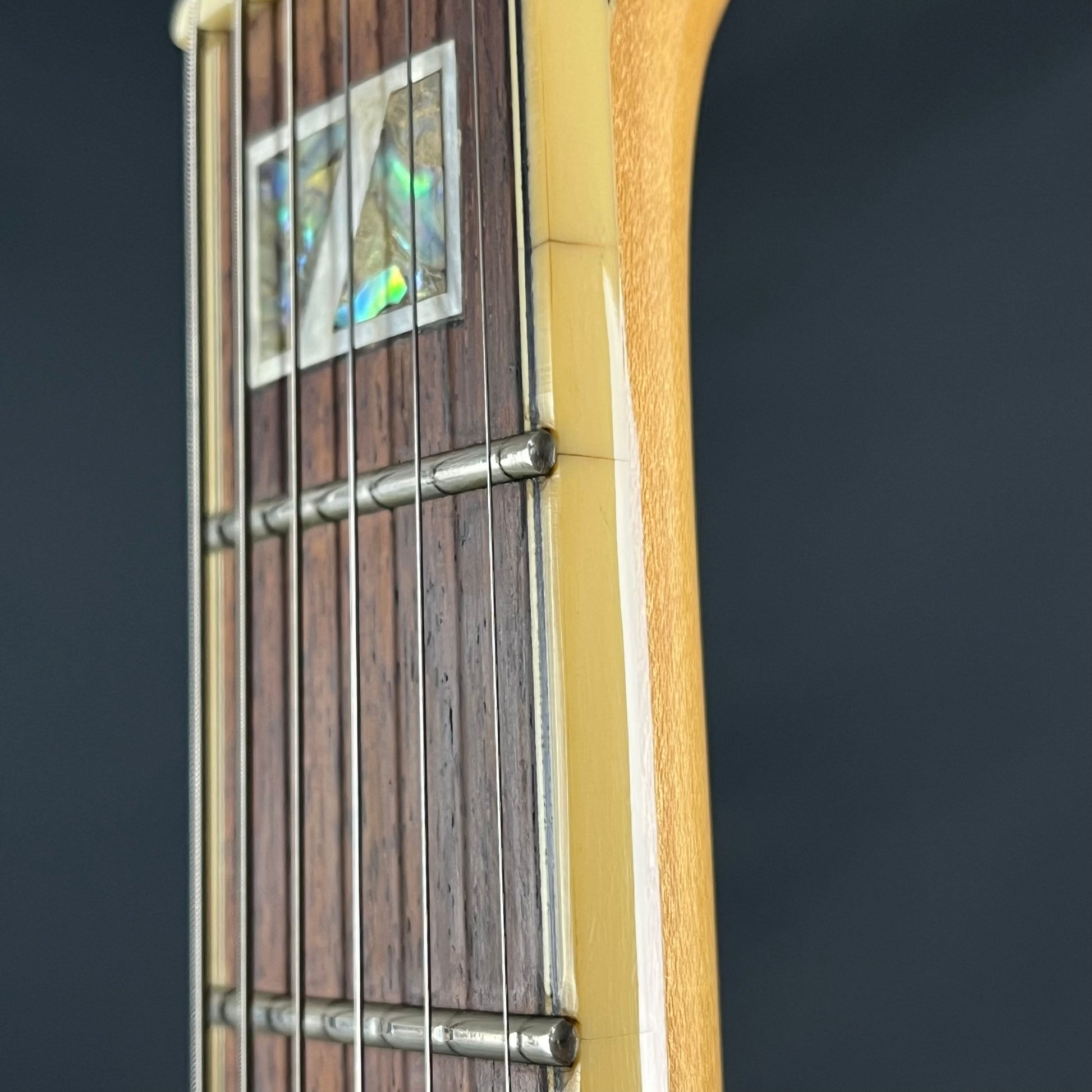 Ibanez AF105-NT