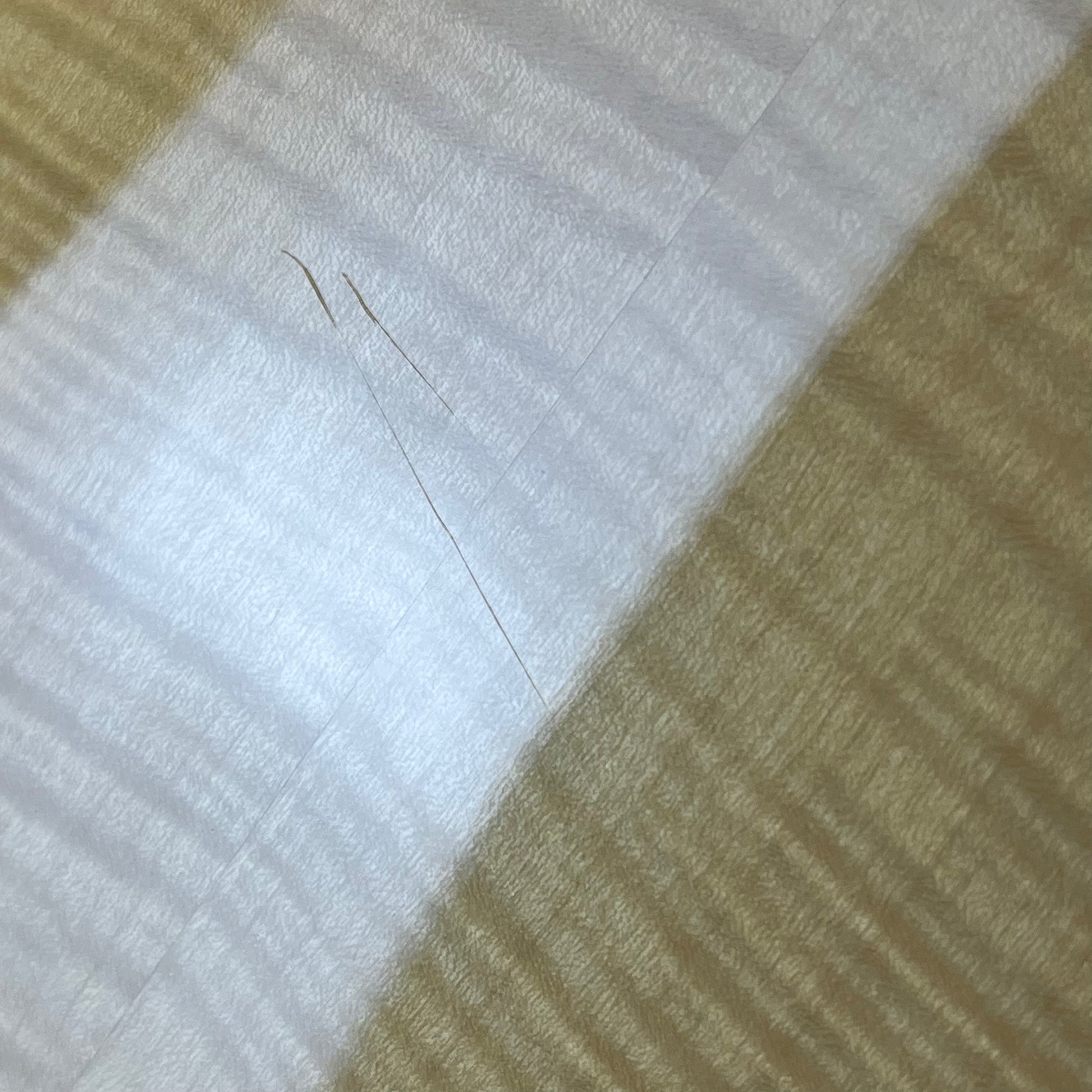 Ibanez AS103-NT 2012