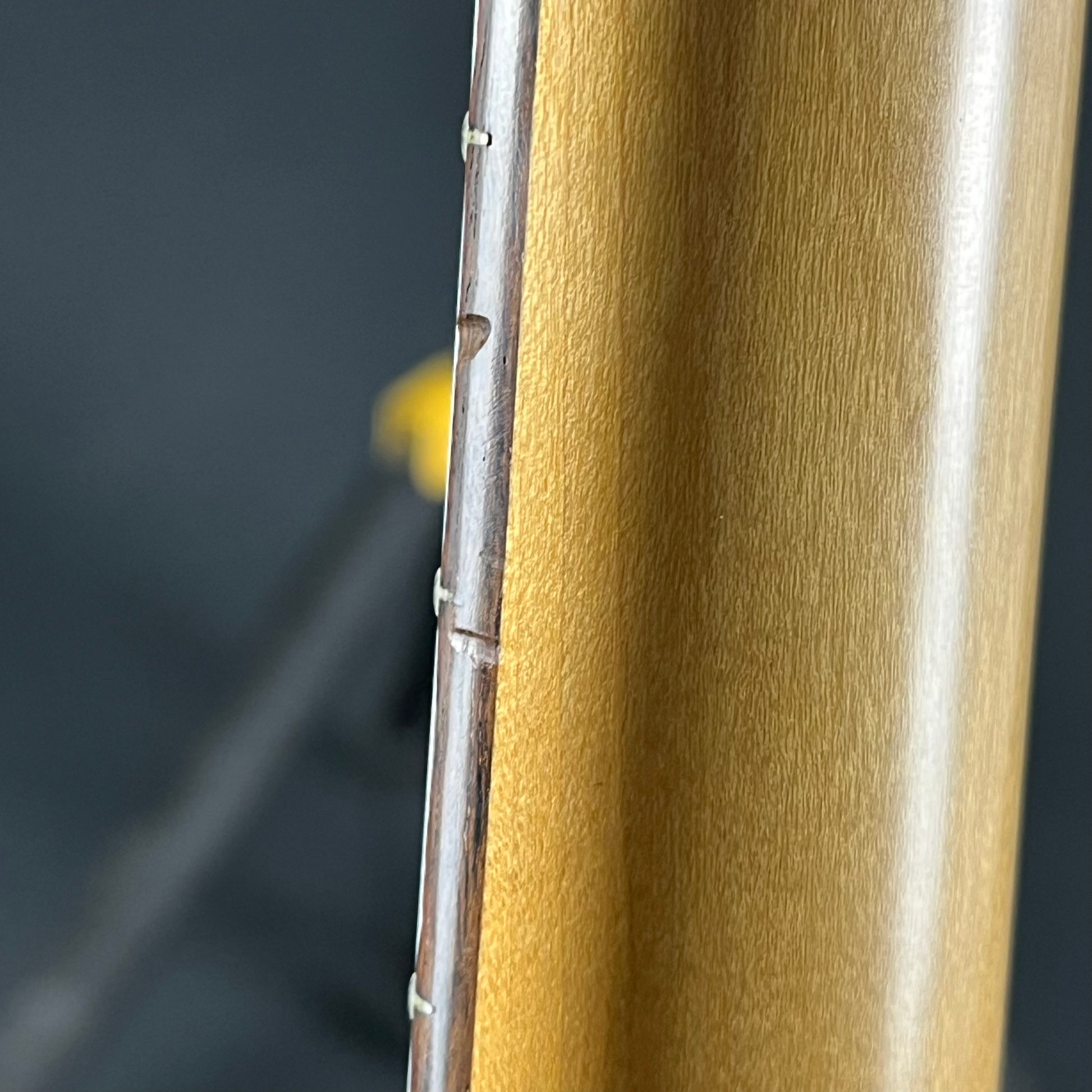 Fernandes FGZ-400