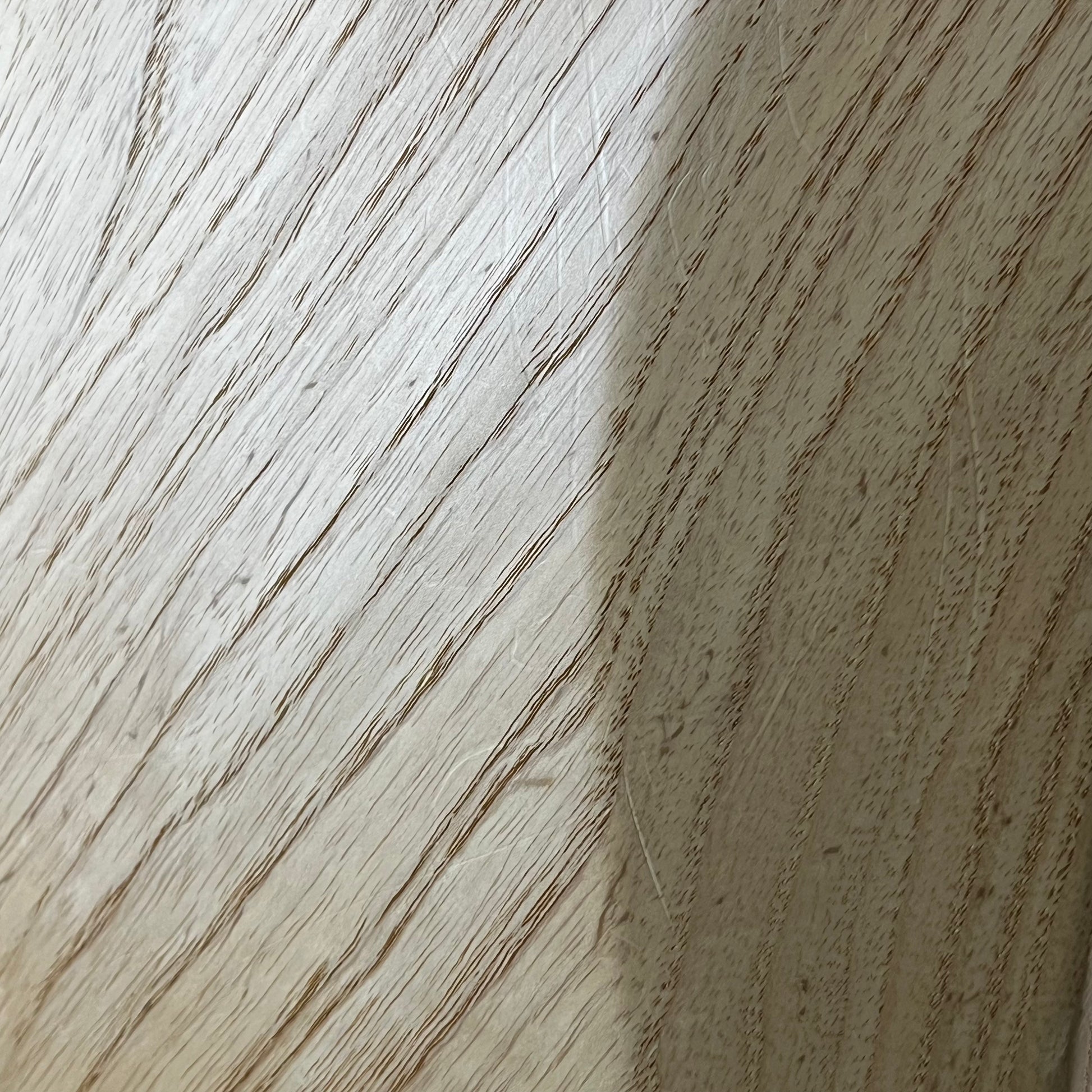 Bacchus Japan Jazz Bass 5 String