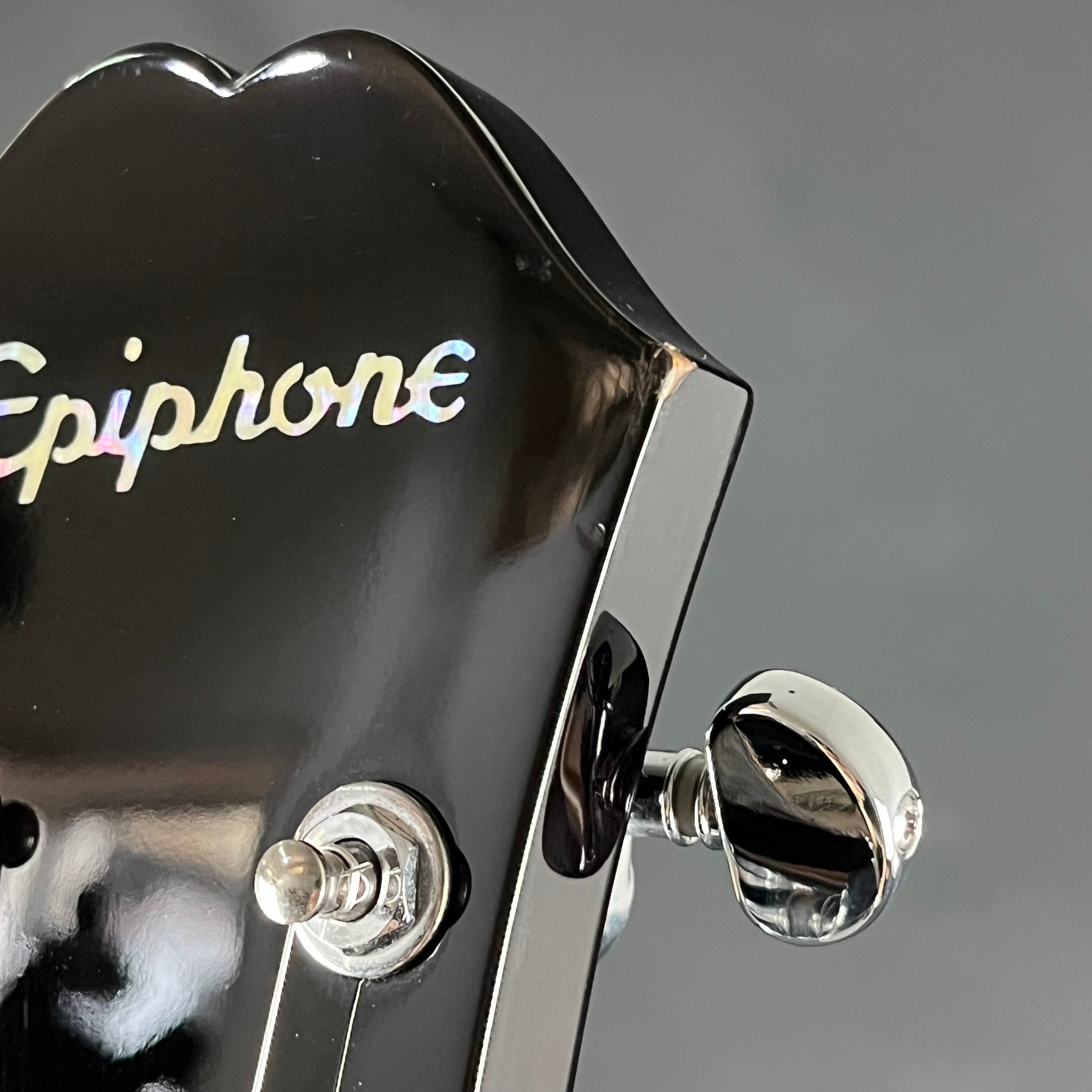 Epiphone Japan Elitist 1965 Casino VS