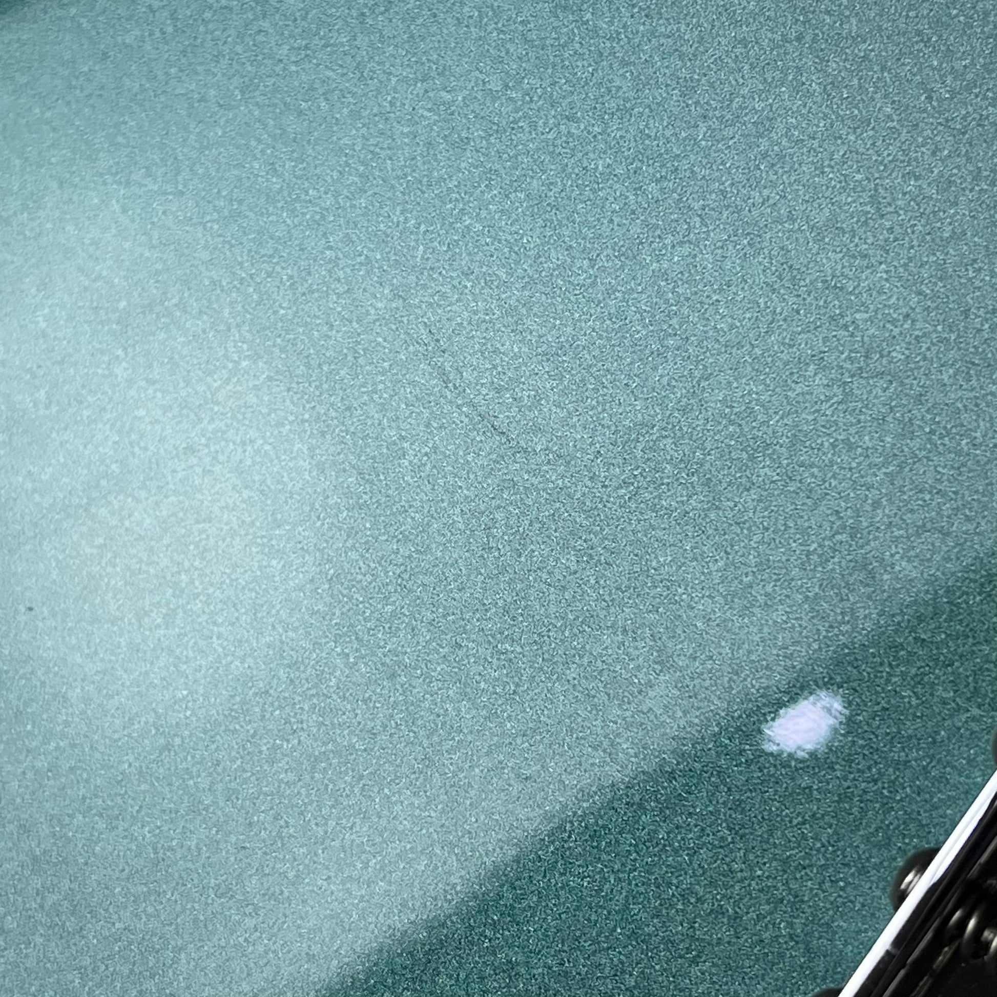 Fender Player Stratocaster MN TPL 2021