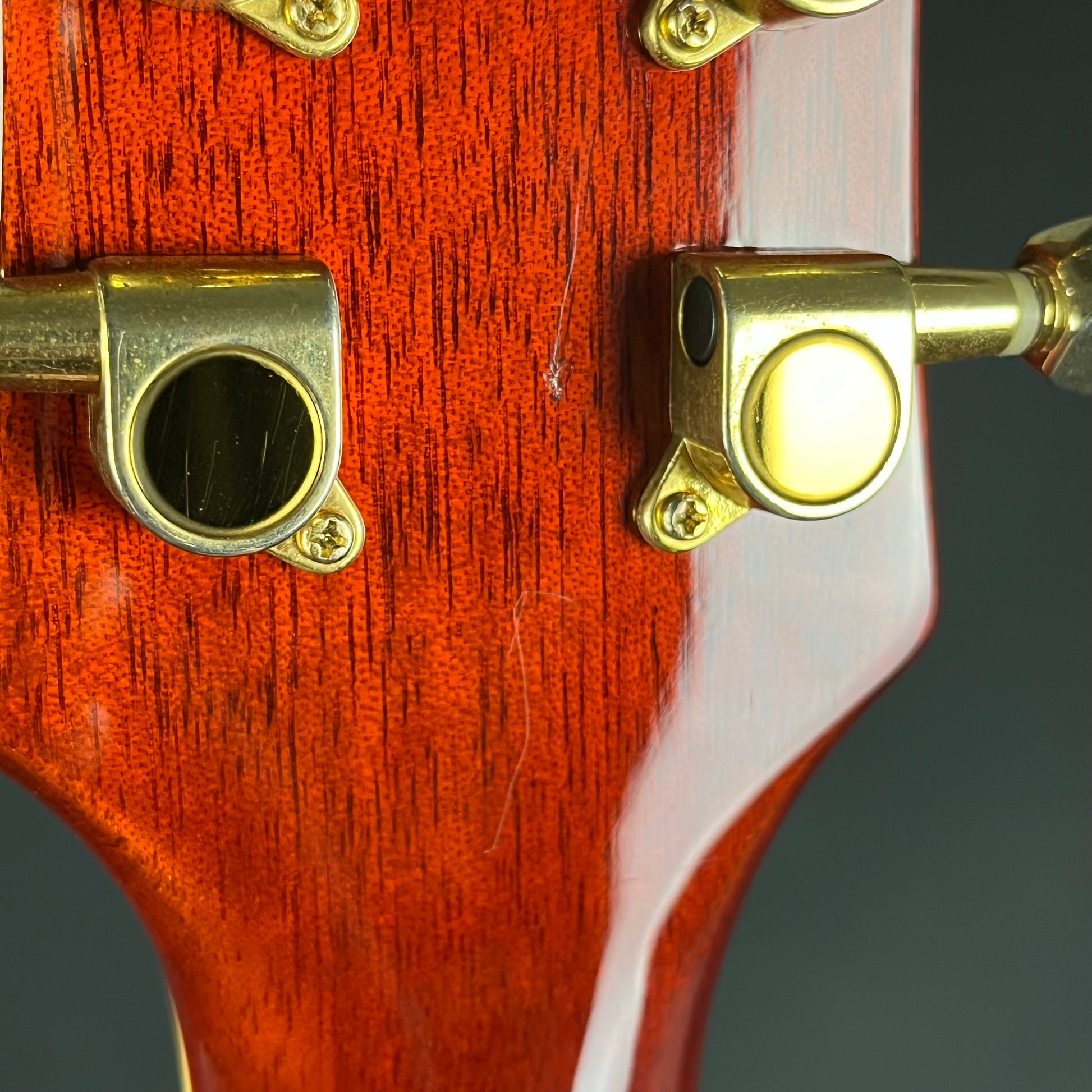 Blitz by Aria Pro II Leopard