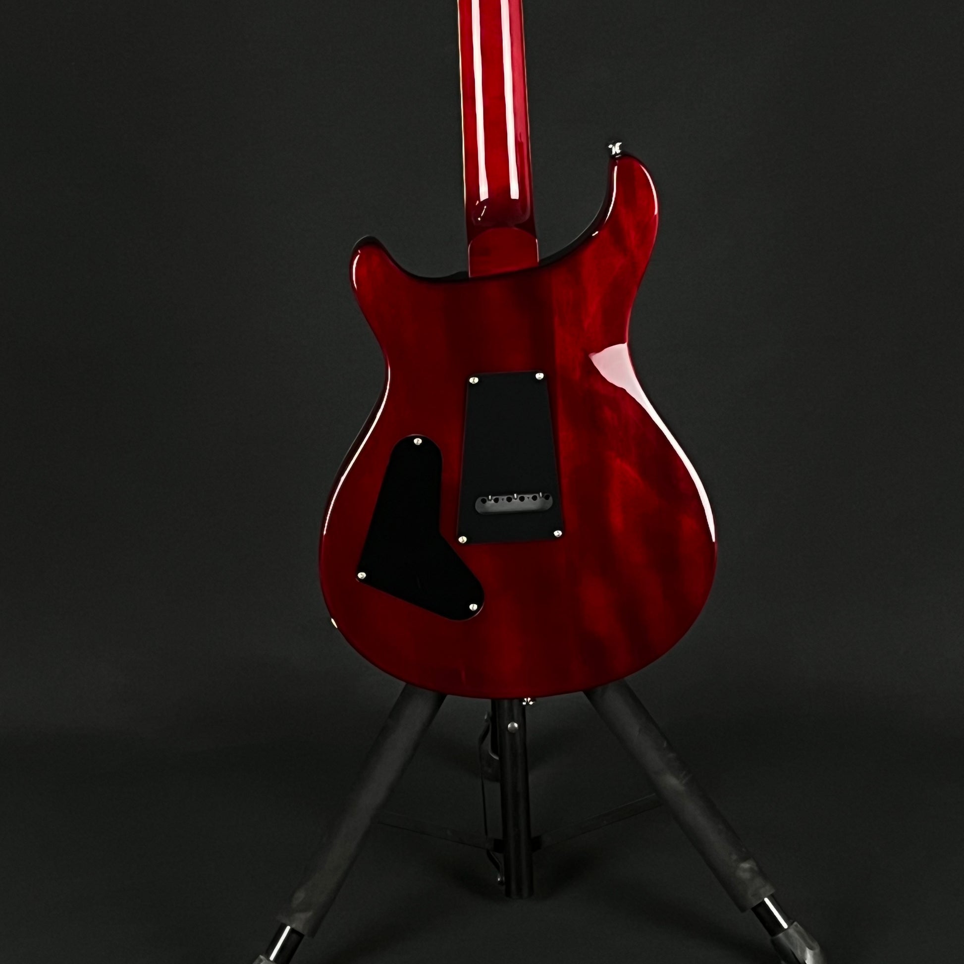 PRS SE Standard 24 2019