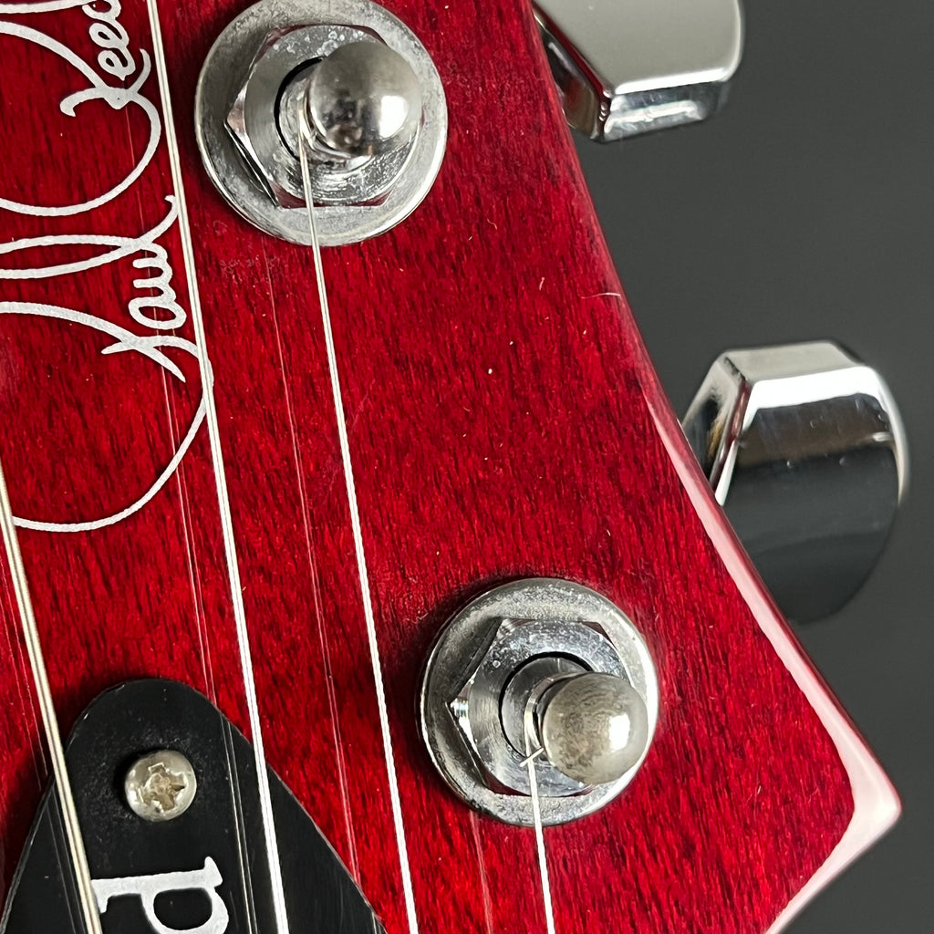 PRS SE Standard 24 2019