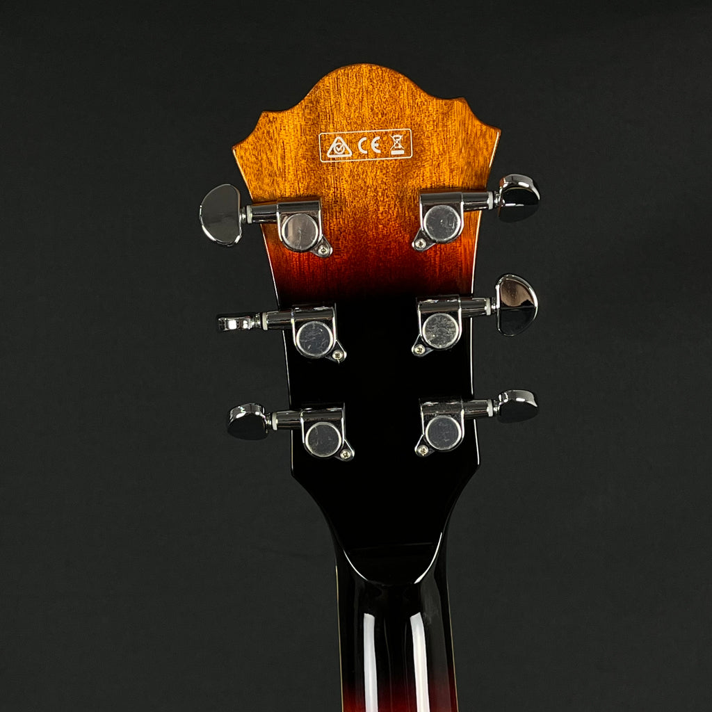Ibanez AF75-BS