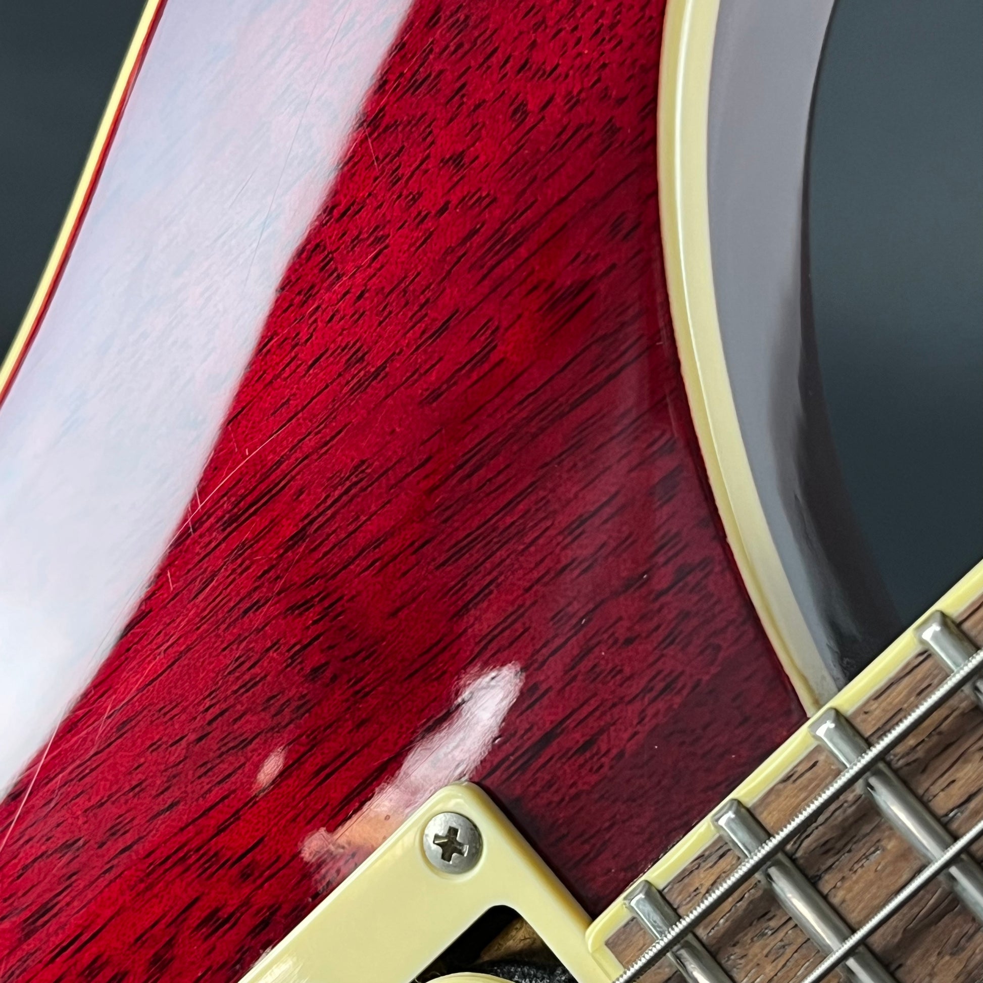 PRS SE Standard 24 2019