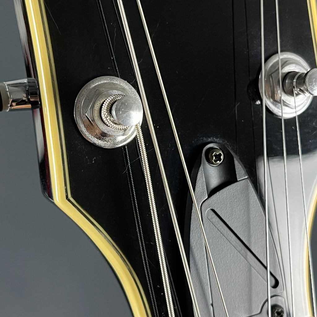 Ibanez AF75-BS
