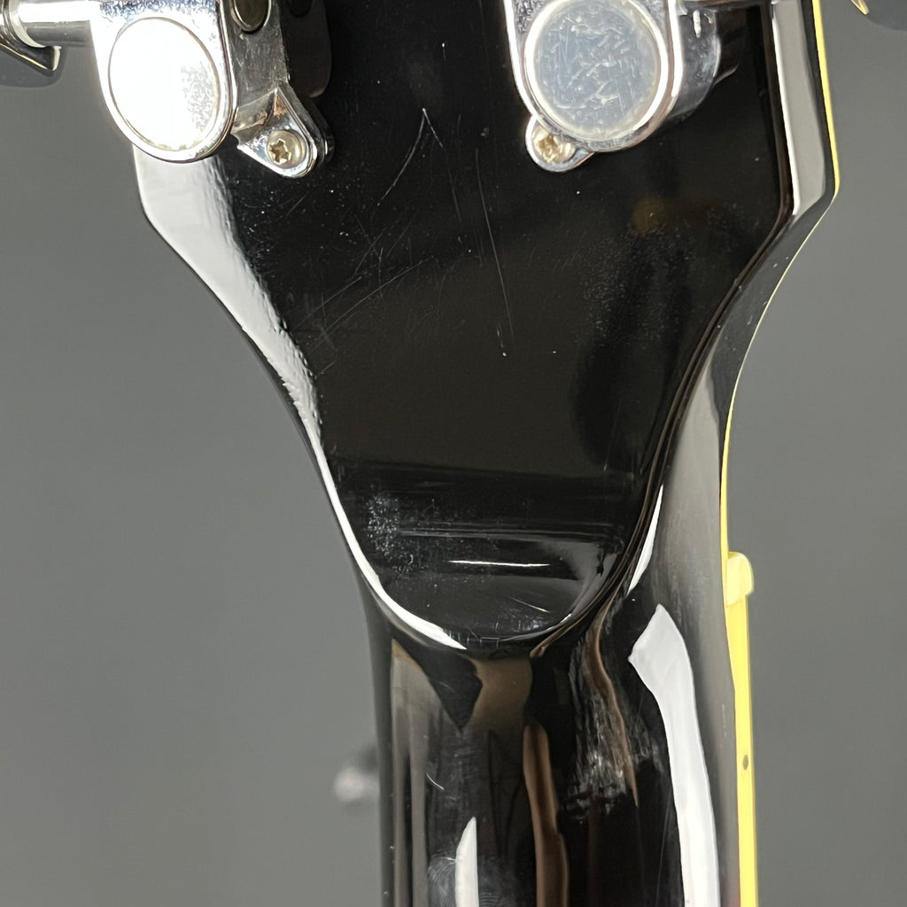 Ibanez AF75-BS