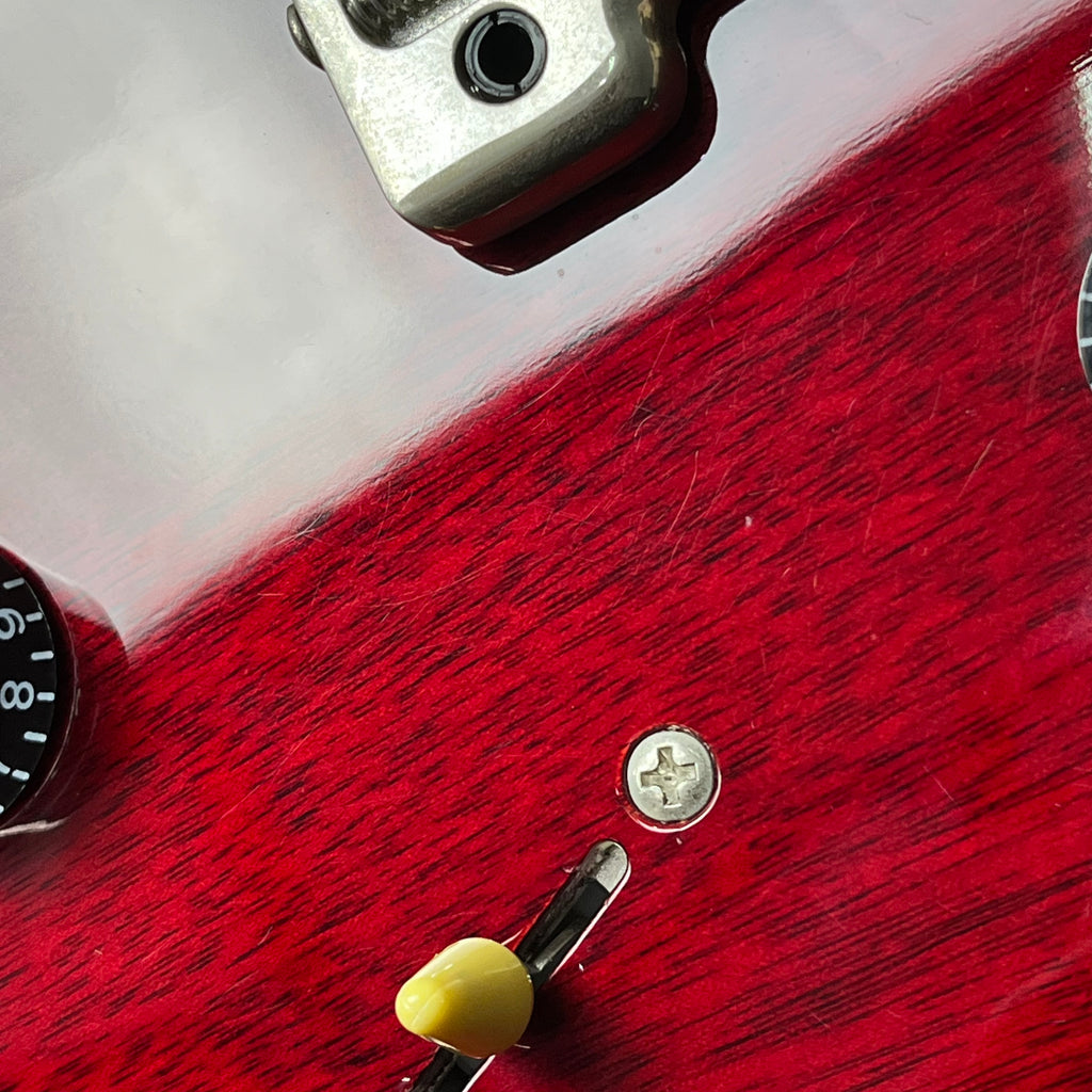 PRS SE Standard 24 2019