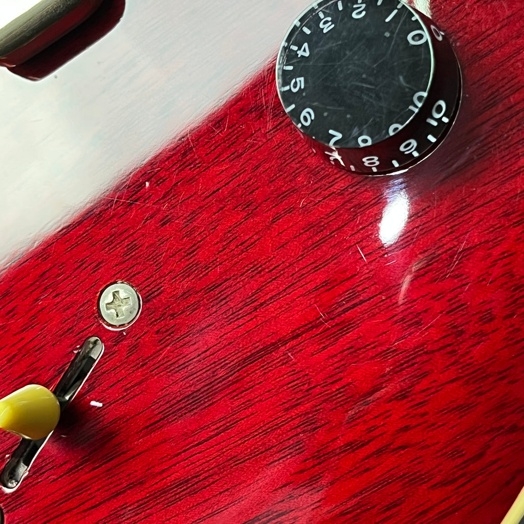 PRS SE Standard 24 2019