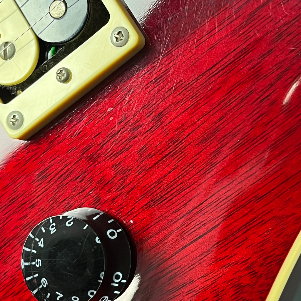 PRS SE Standard 24 2019