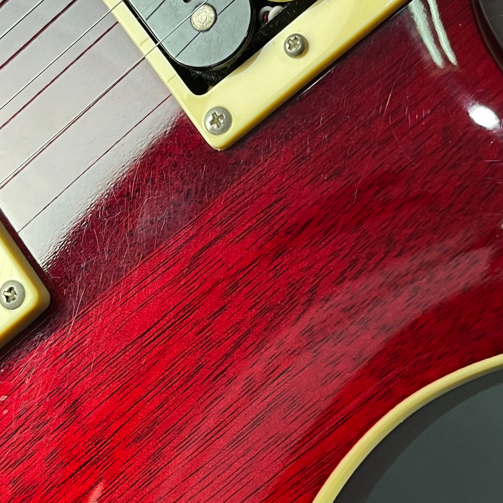 PRS SE Standard 24 2019