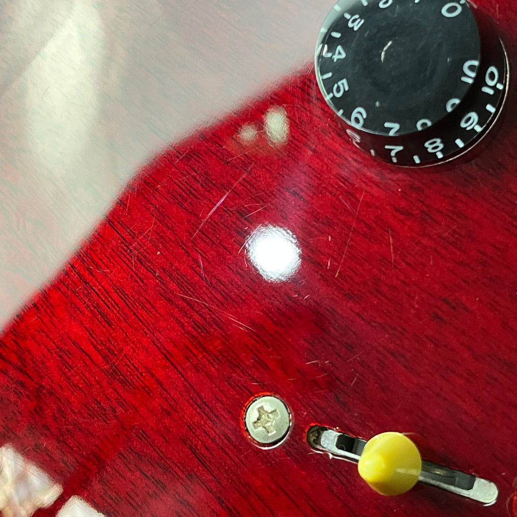 PRS SE Standard 24 2019