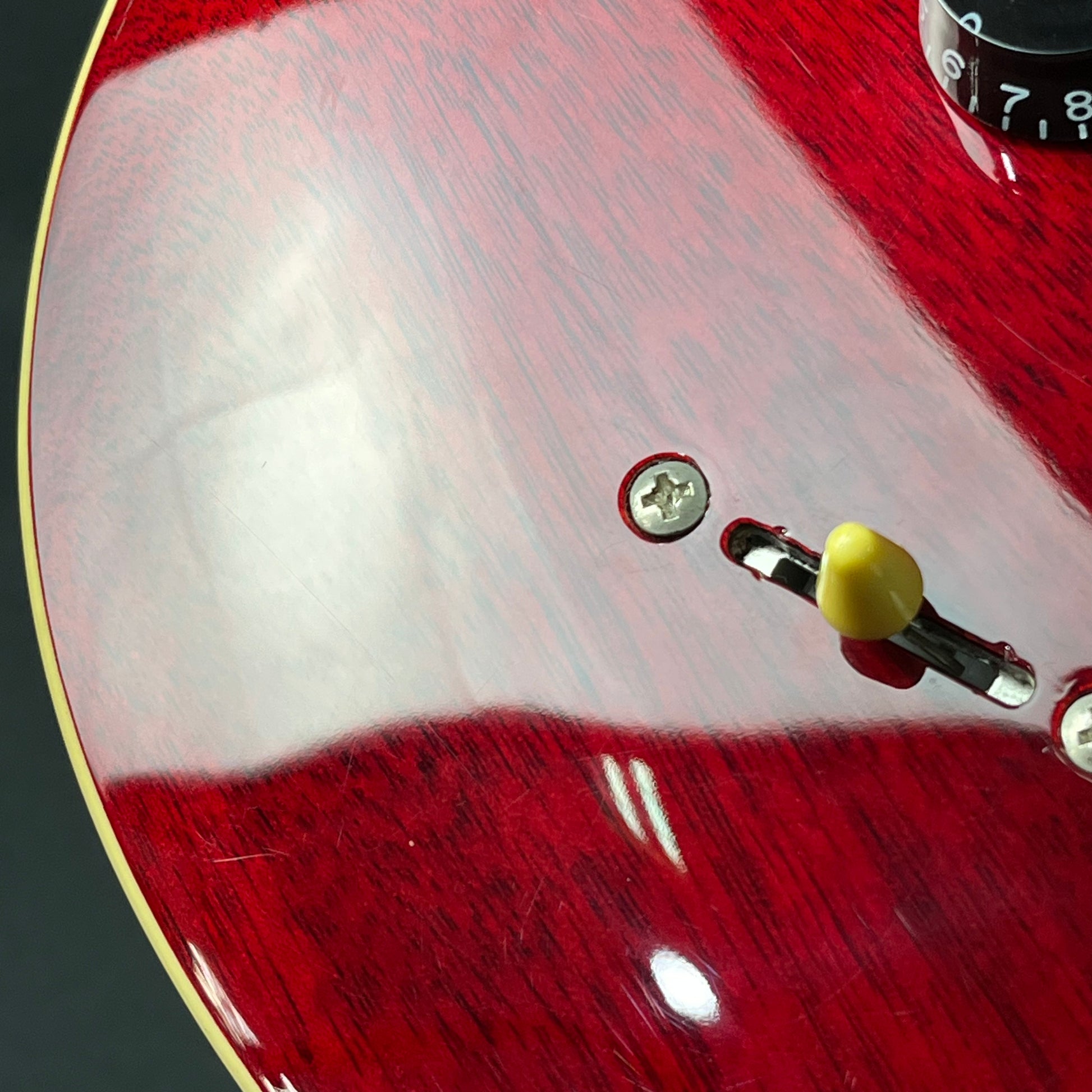 PRS SE Standard 24 2019