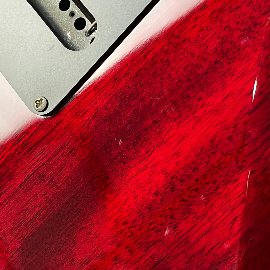 PRS SE Standard 24 2019