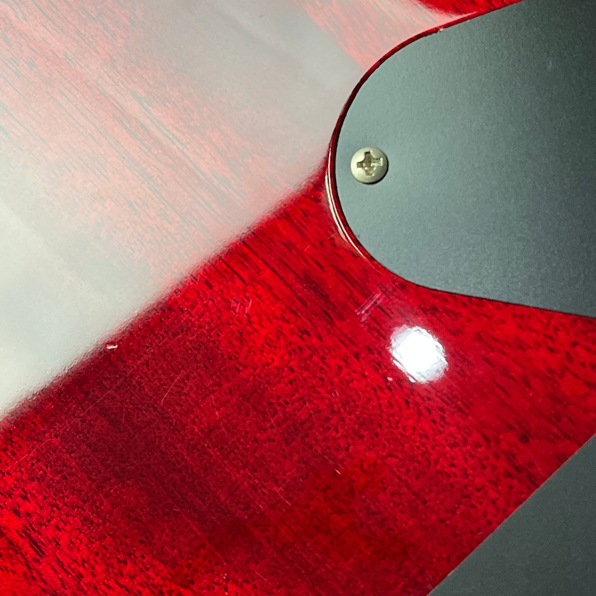 PRS SE Standard 24 2019