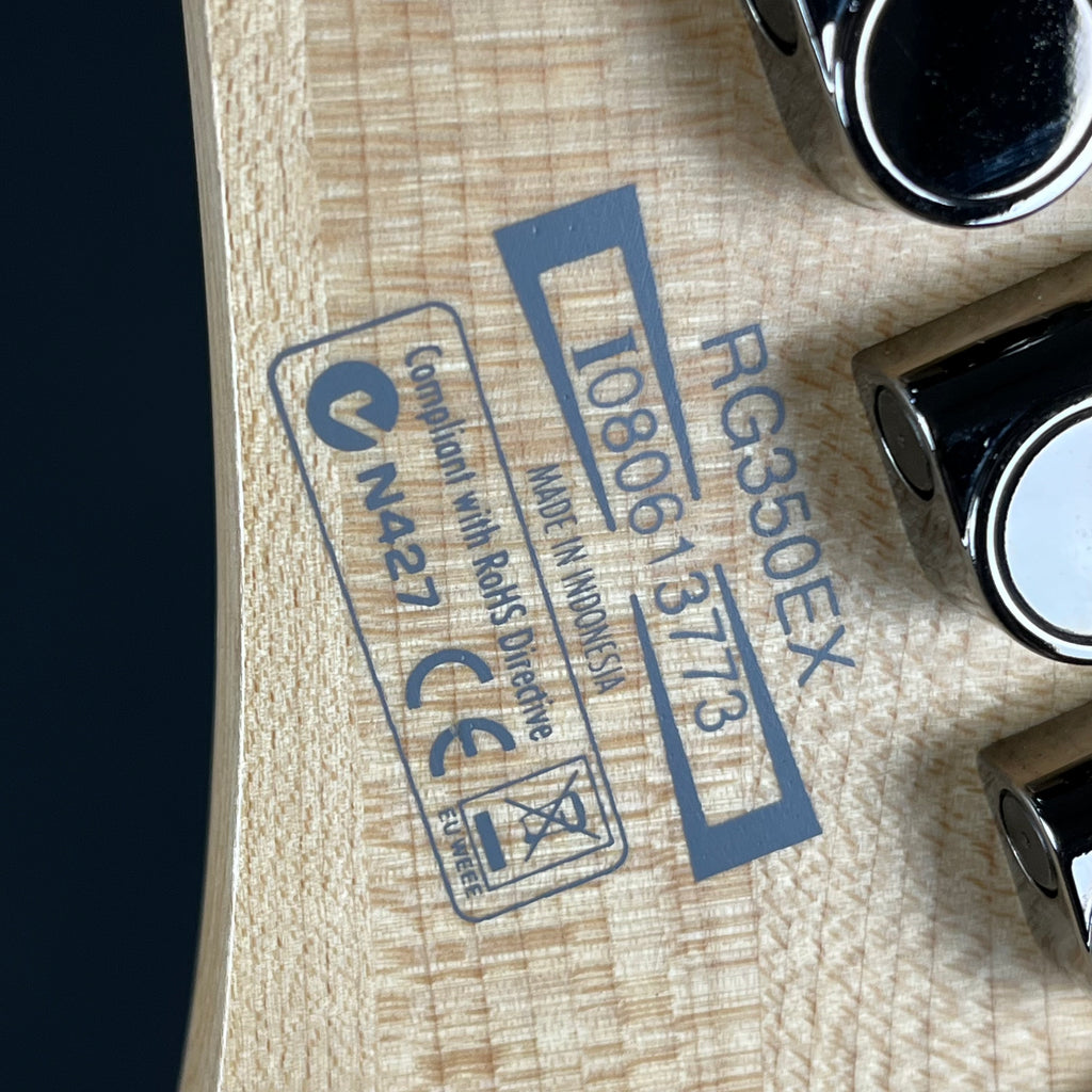 Ibanez RG350EX