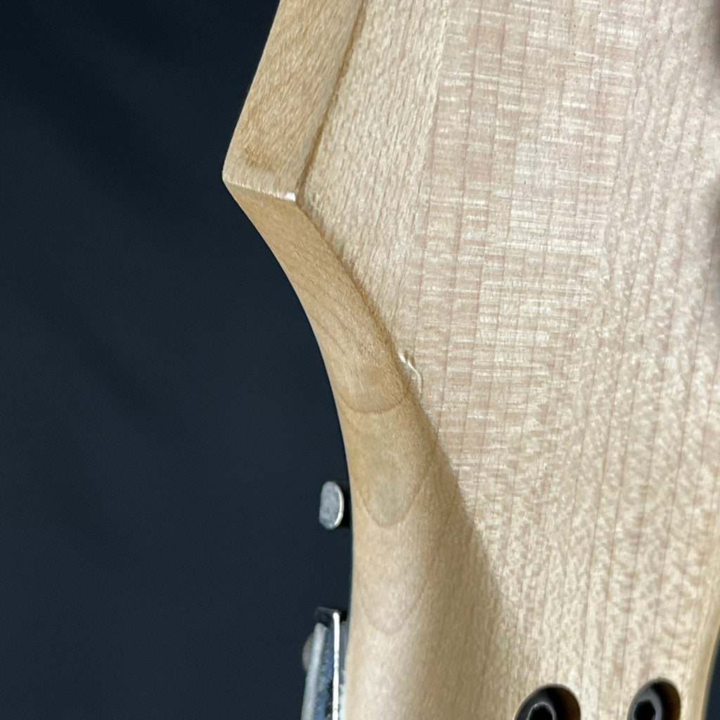 Ibanez RG350EX