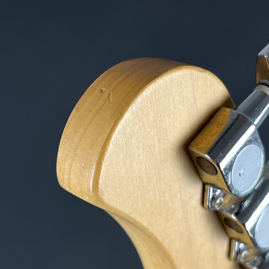 Bacchus Universe Series Mustang