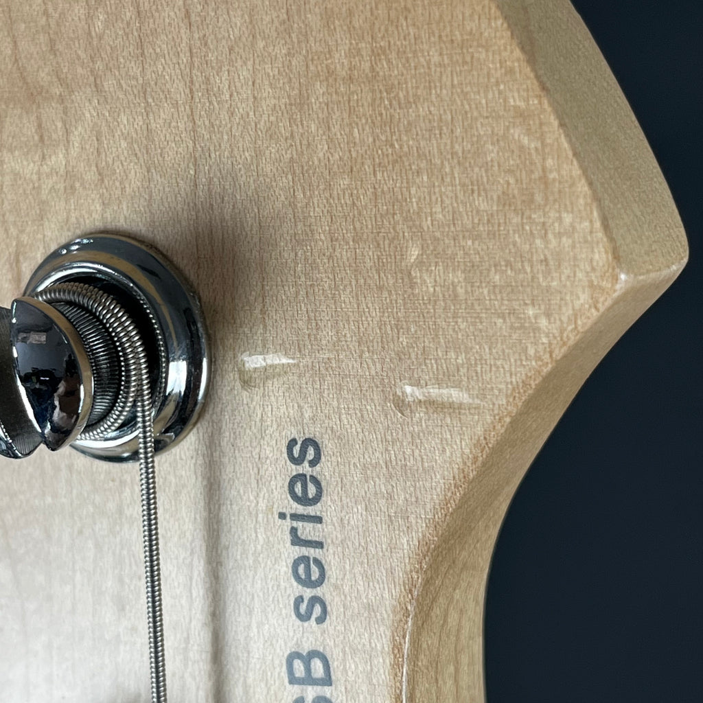 Aria Pro II RSB-618/4 Bass