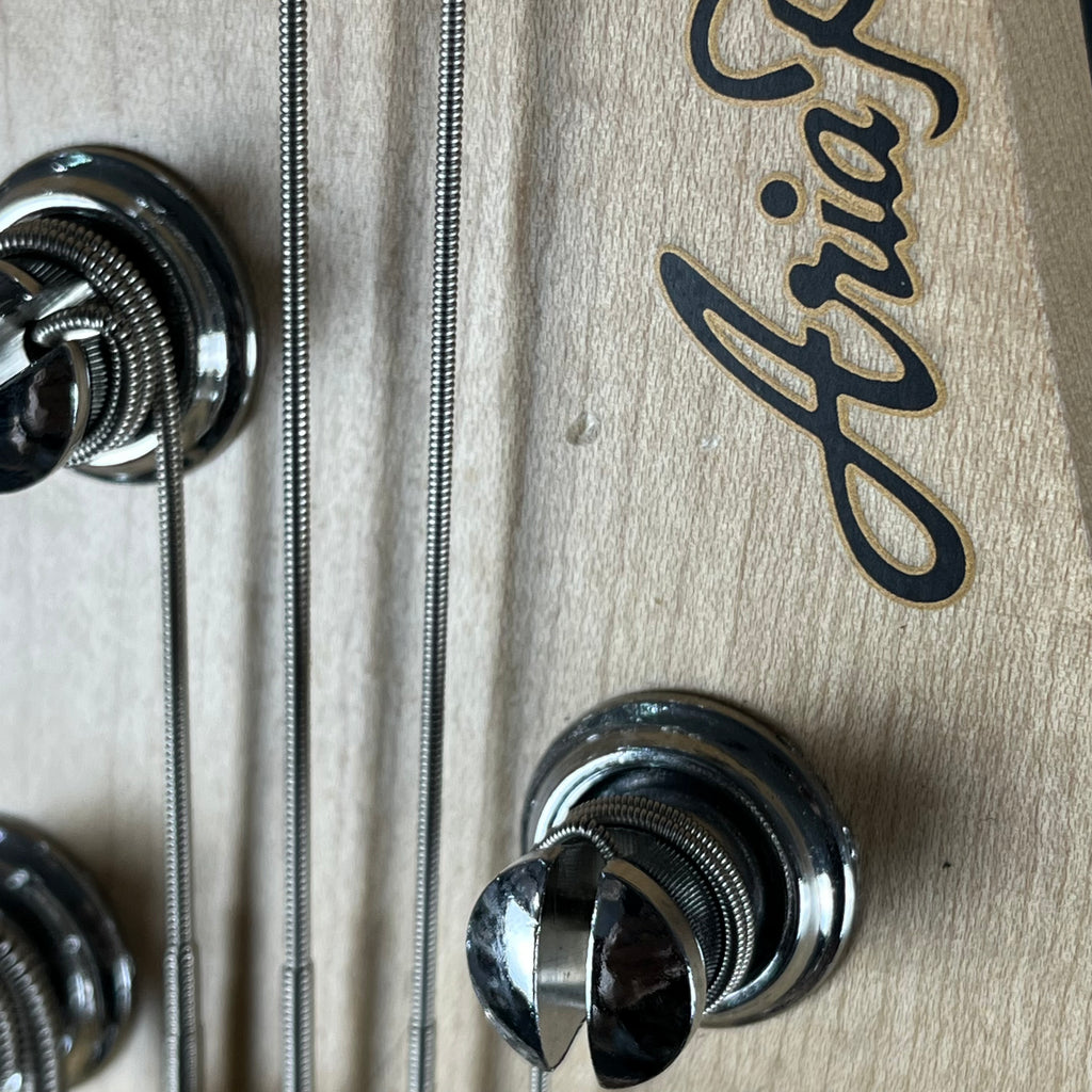 Aria Pro II RSB-618/4 Bass
