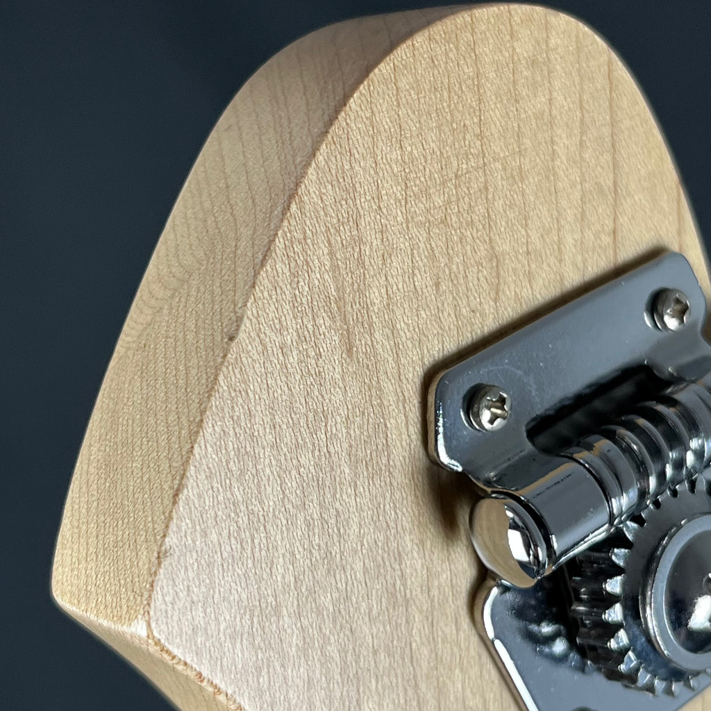Aria Pro II RSB-618/4 Bass