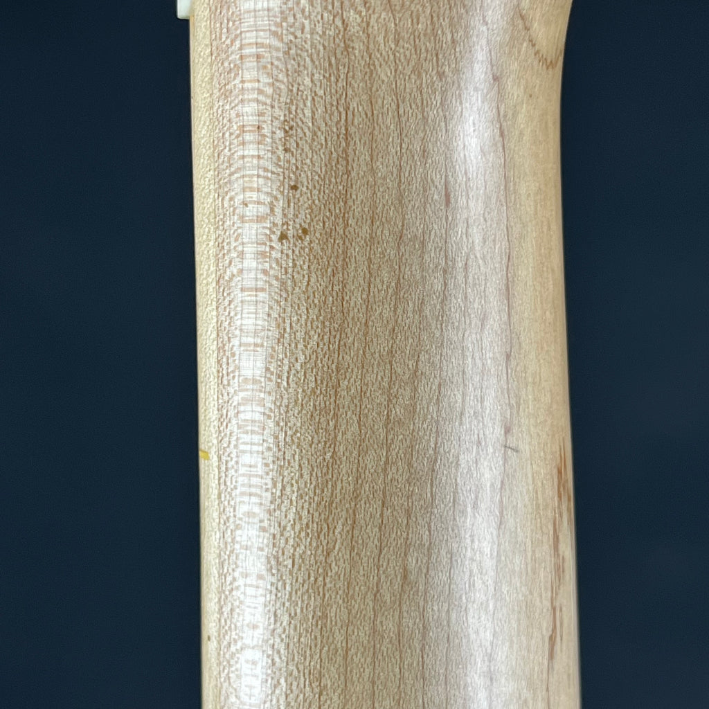 Aria Pro II RSB-618/4 Bass