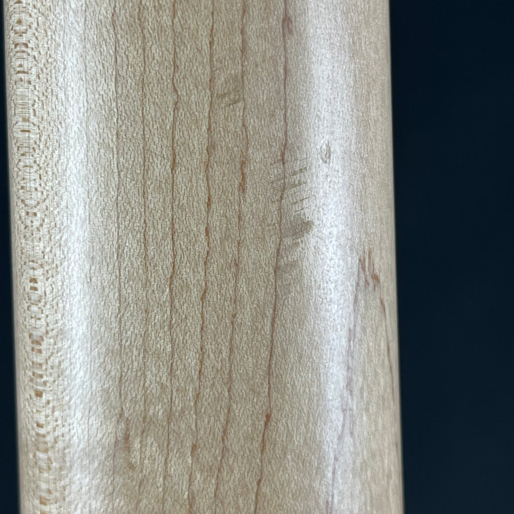 Aria Pro II RSB-618/4 Bass