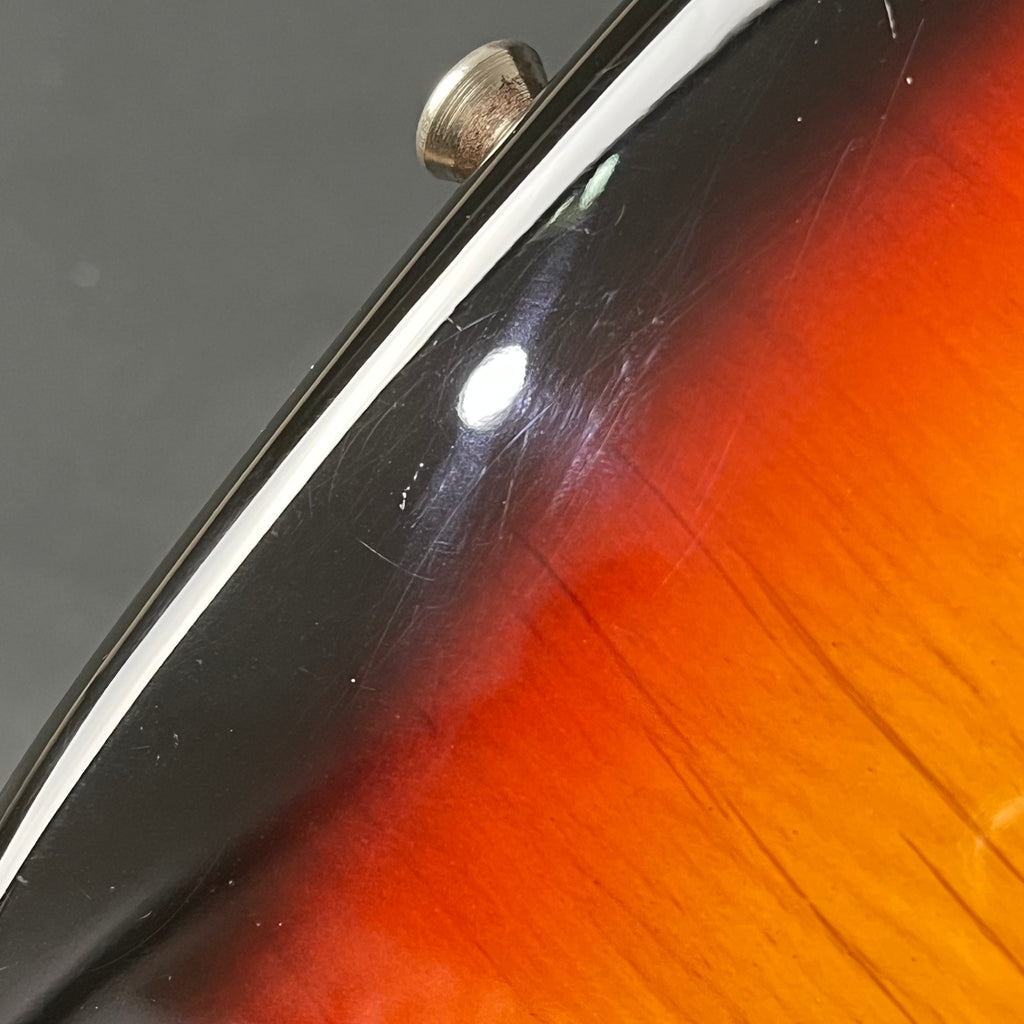 Bacchus Universe Series Mustang