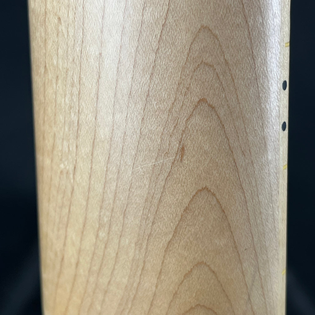 Aria Pro II RSB-618/4 Bass