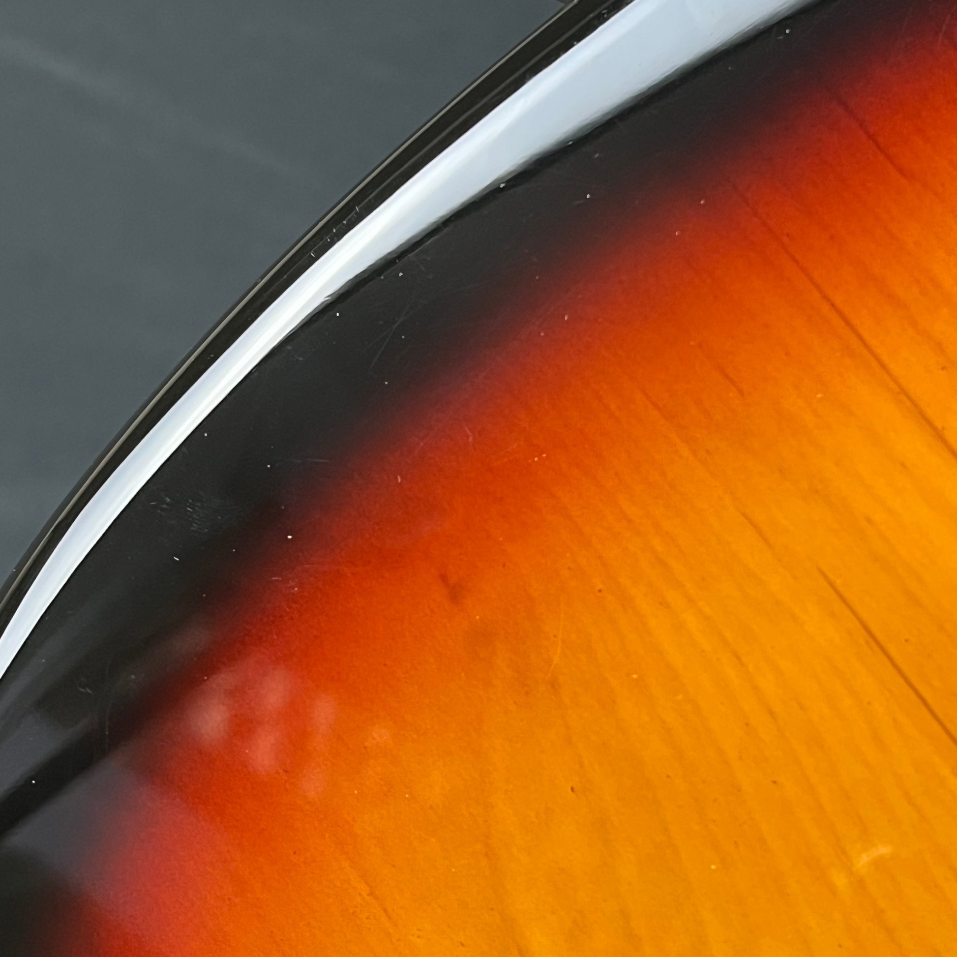 Bacchus Universe Series Mustang