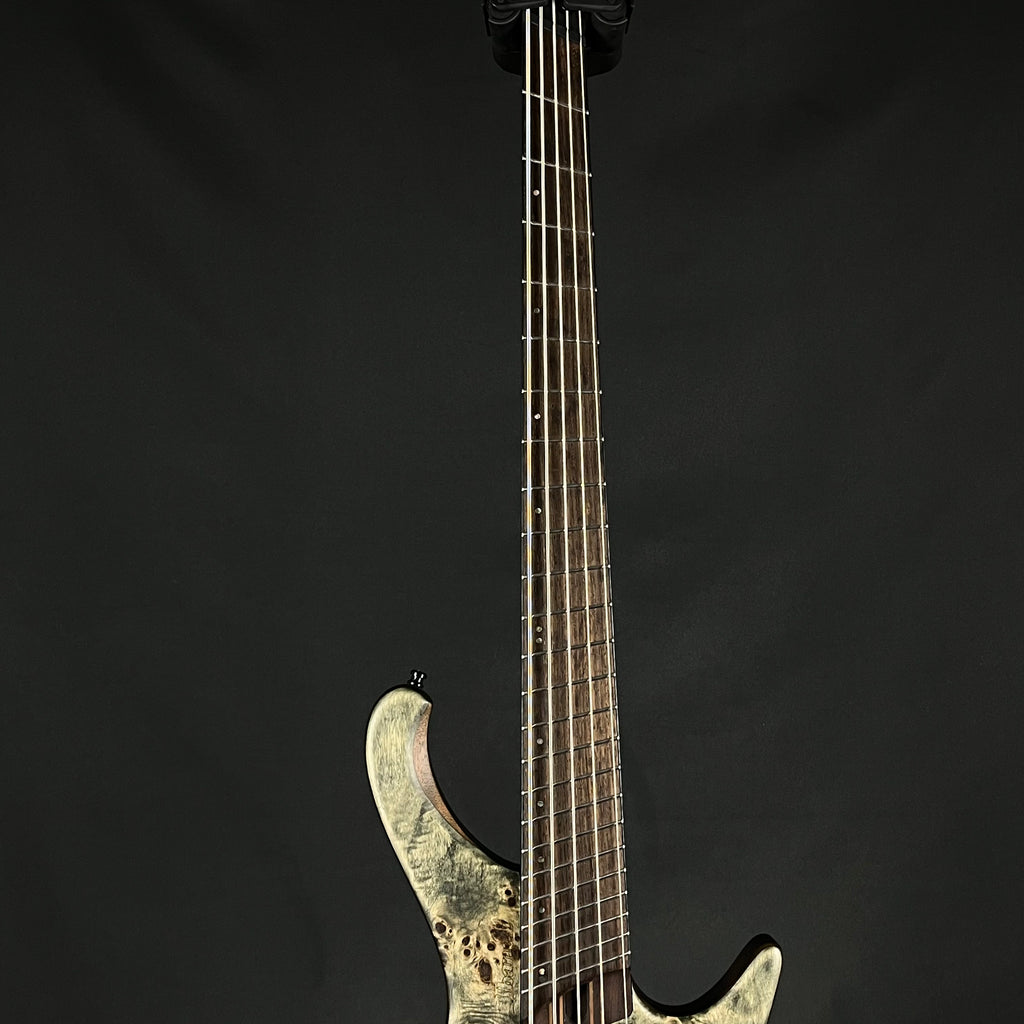 Ibanez EHB1506MS-BIF 2020