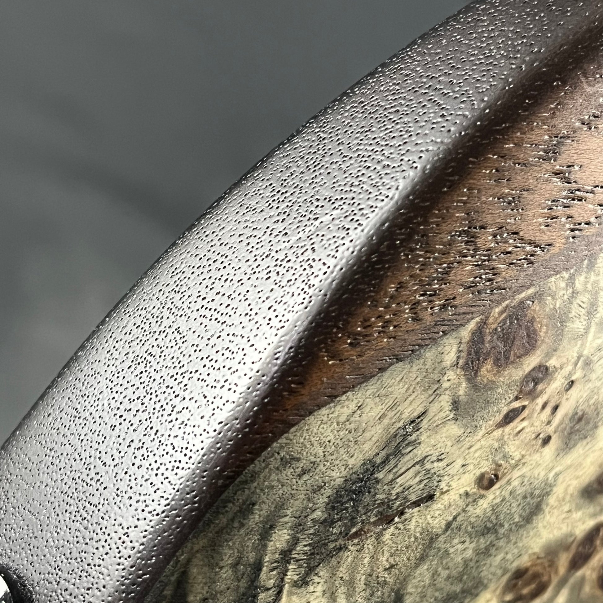 Ibanez EHB1506MS-BIF 2020