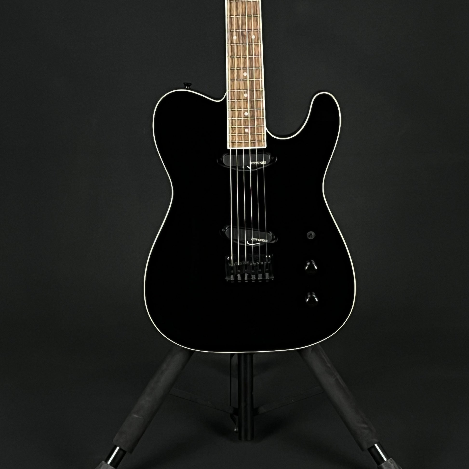 Fernandes TEJ-Standard