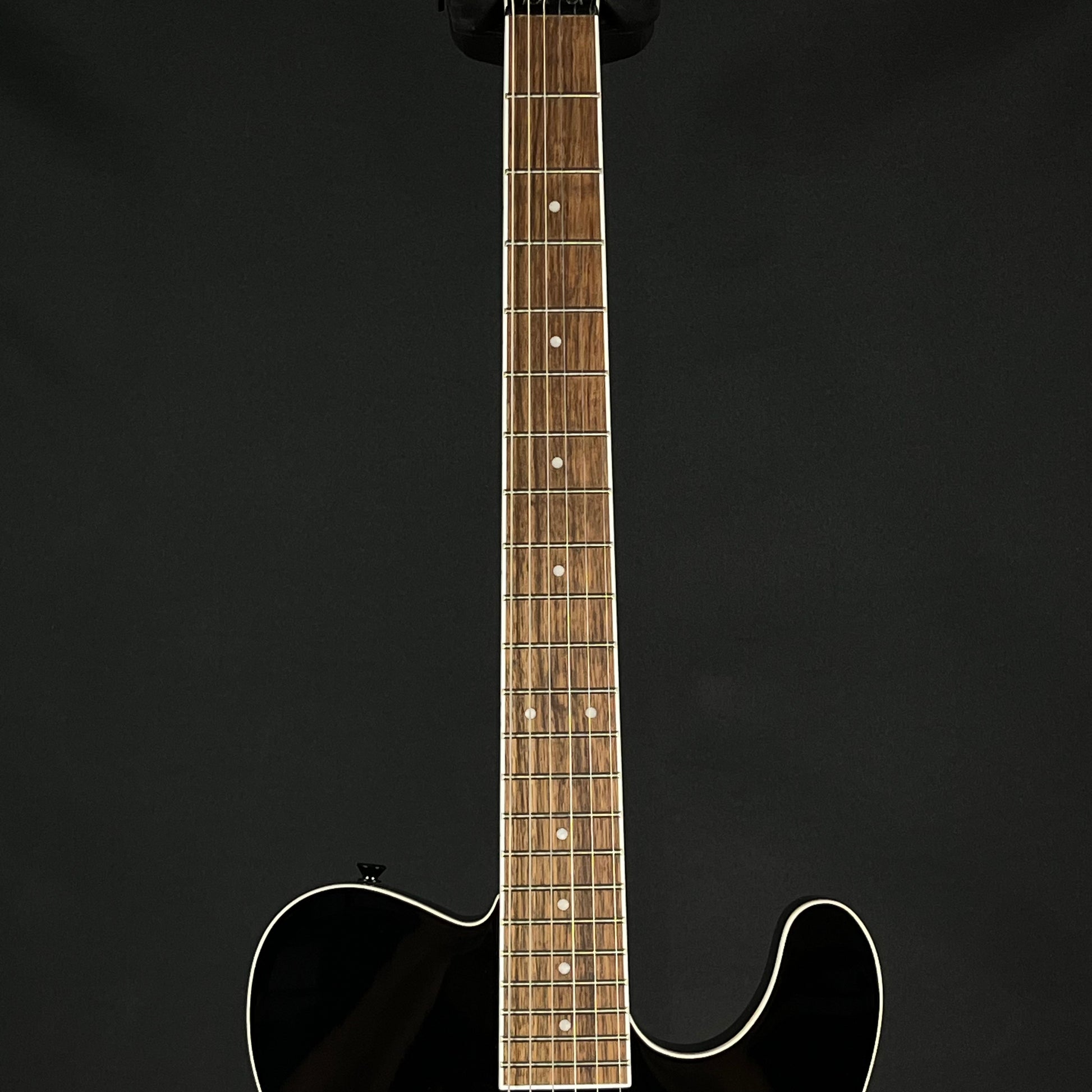Fernandes TEJ-Standard