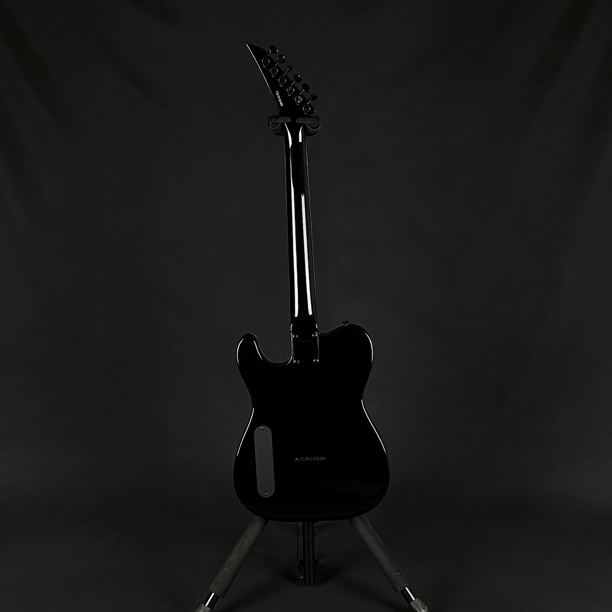 Fernandes TEJ-Standard