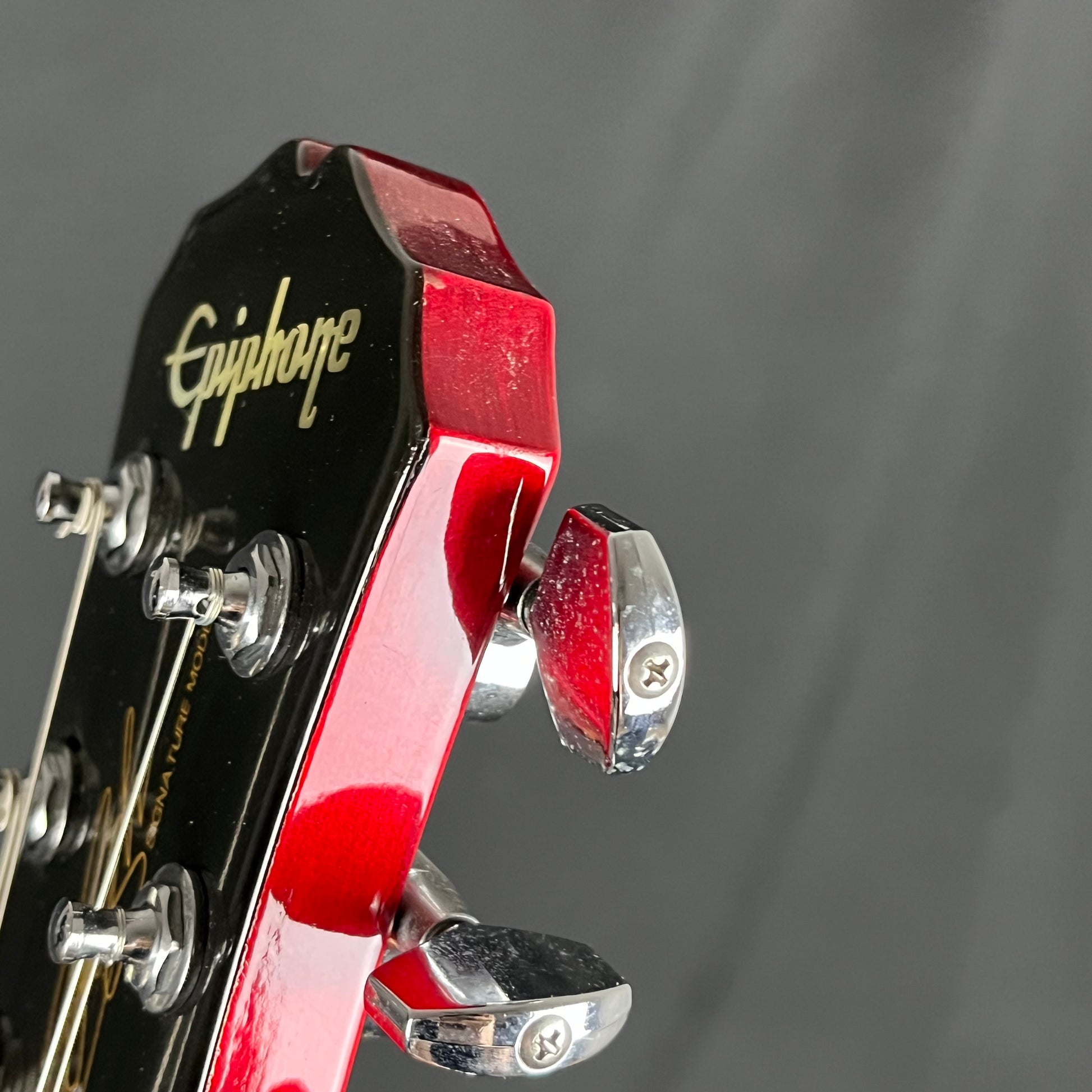 Epiphone Korea Slash "Snakepit" Les Paul