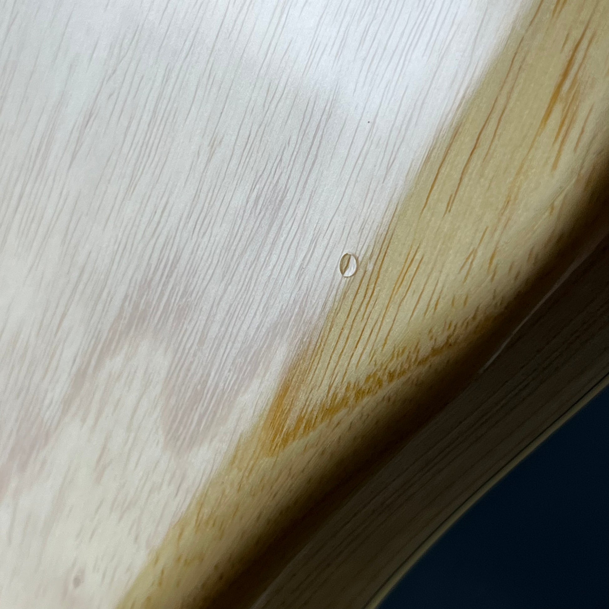 YAMAHA Japan PAC1611MS