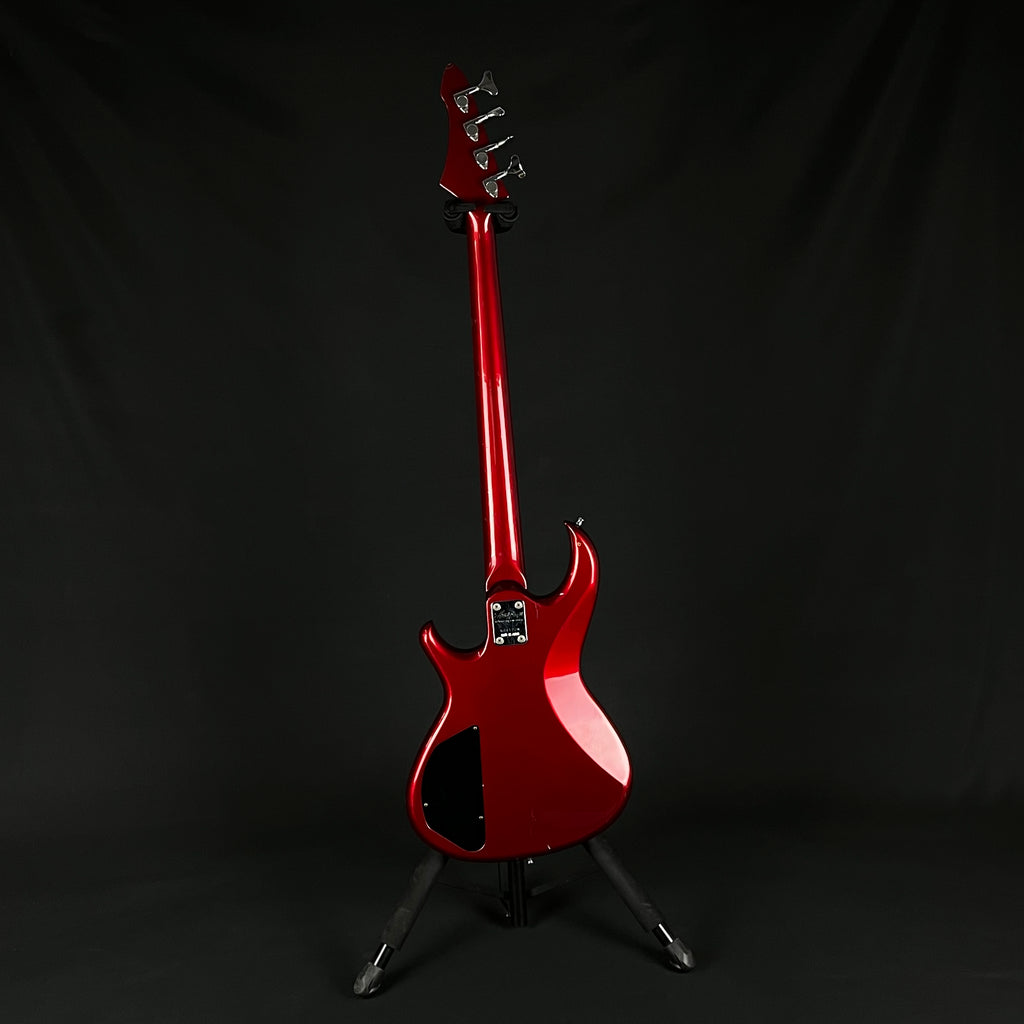 Aria Pro II RSB Series Bass