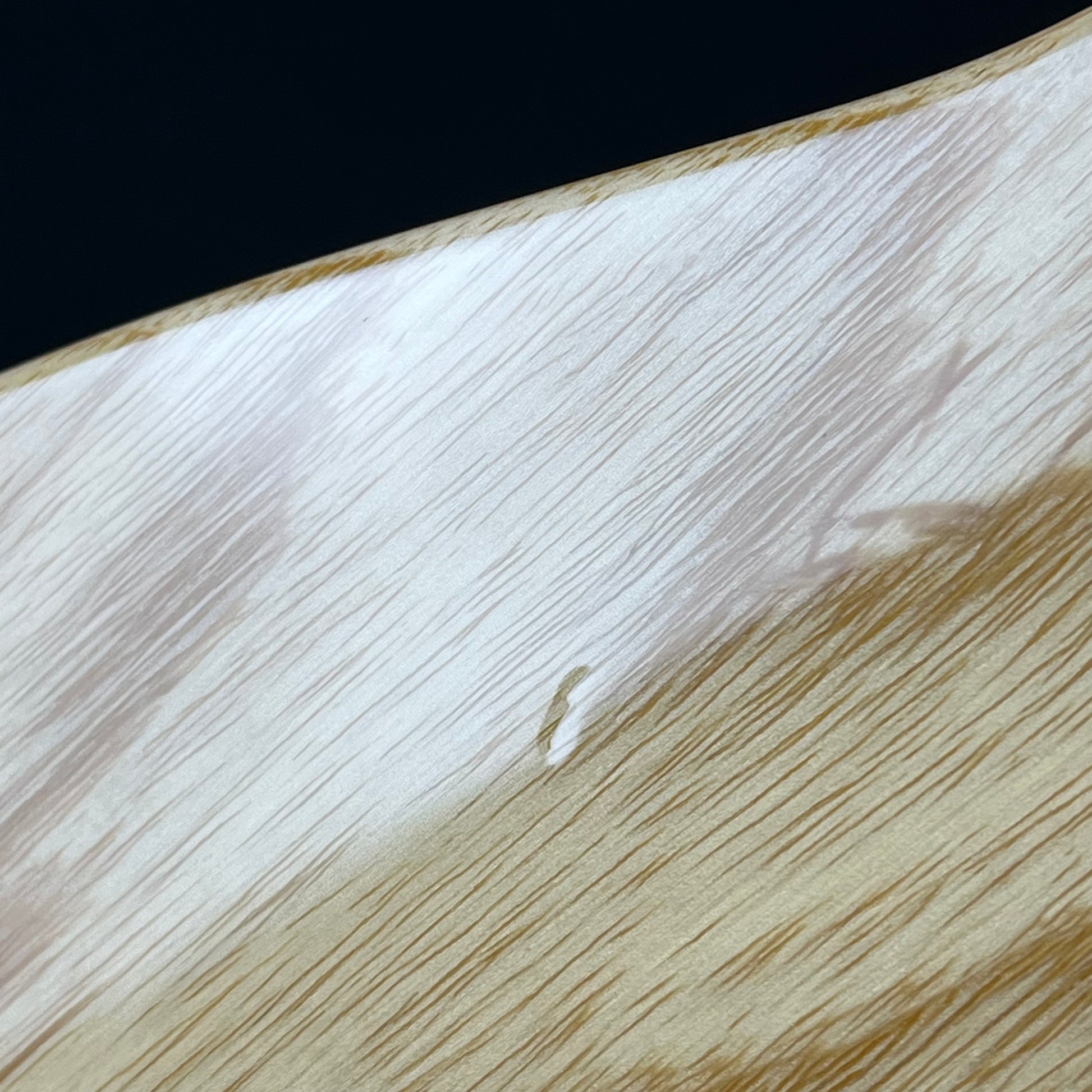 YAMAHA Japan PAC1611MS