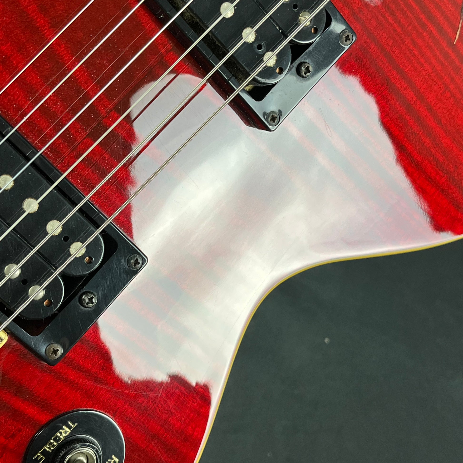 Epiphone Korea Slash "Snakepit" Les Paul